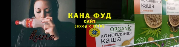 МДПВ Артём