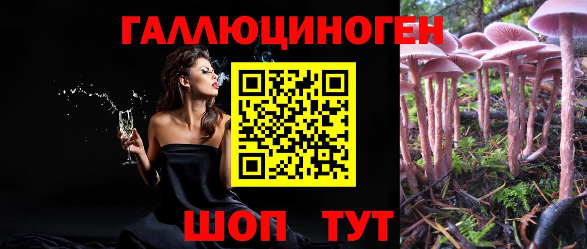 Псилоцибиновые грибы Psilocybe Нарьян-Мар