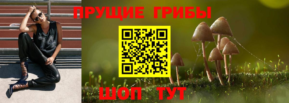 Галлюциногенные грибы прущие грибы  Вход с VPN  Нарьян-Мар 