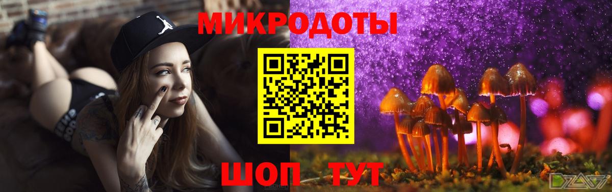 Галлюциногенные грибы Нарьян-Мар